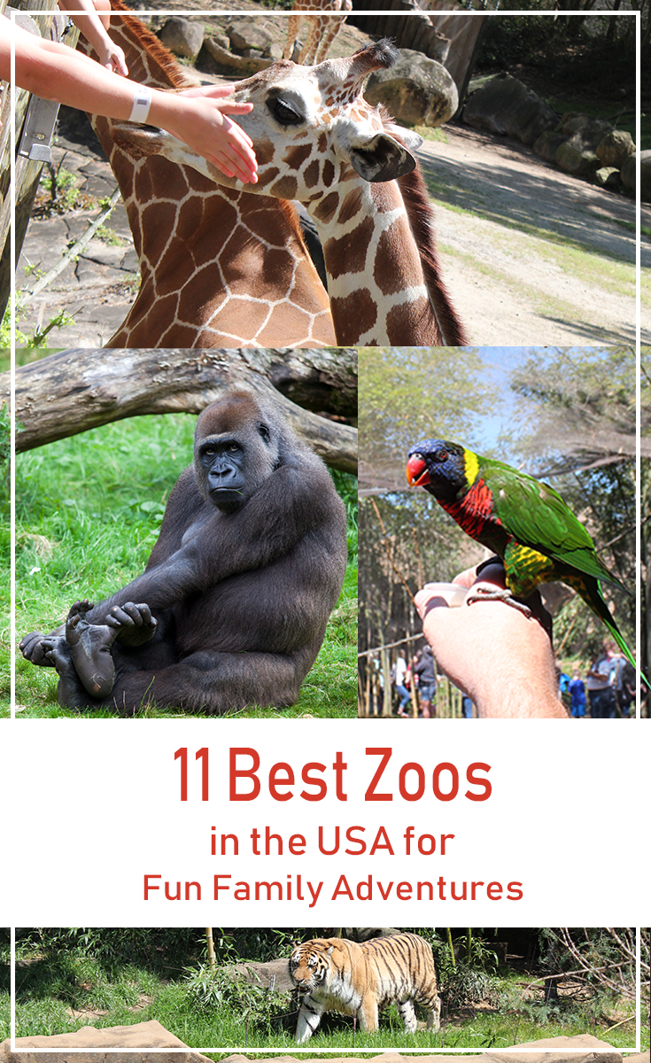 Zoos are a wonderful place to get close to nature. Let your children be enthralled by animals of all sizes at the best zoos in the USA!